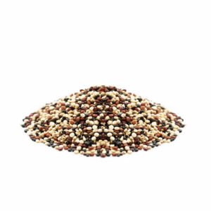semilla de quinoa peruana tricolor